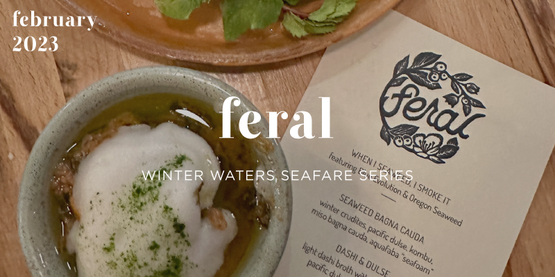Winter Waters: Feral video